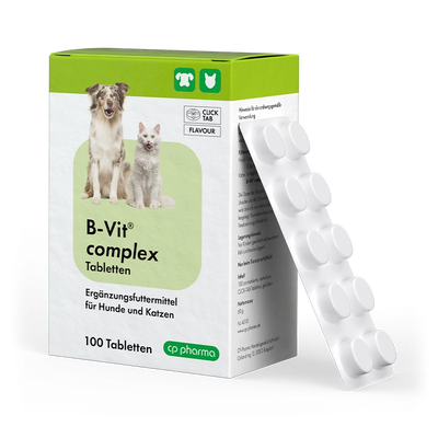 CP-Pharma B-Vit complex Tabletten
