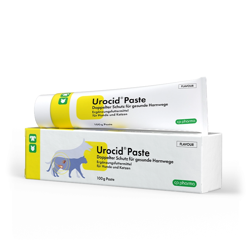 CP-Pharma Urocid Paste 100 g, Karton und Tube in Voderansicht