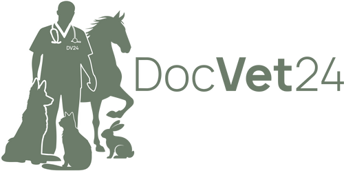 DocVet24