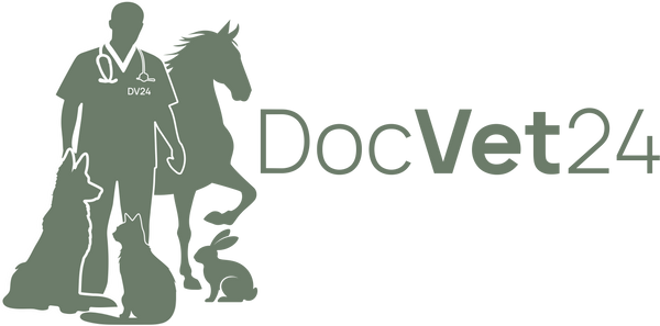 DocVet24