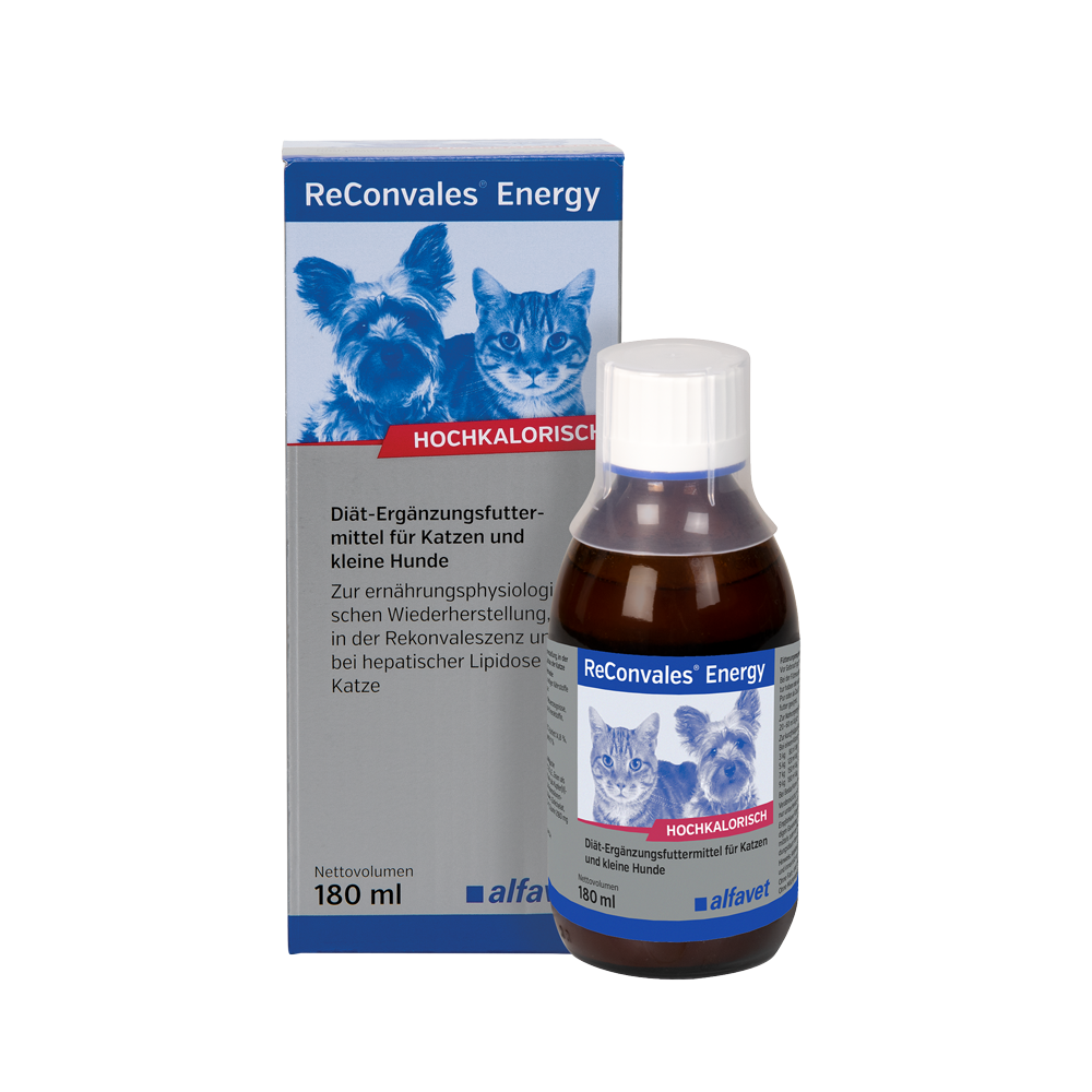 alfavet ReConvales Energy 180 ml, Karton und Flasche in Vorderansicht