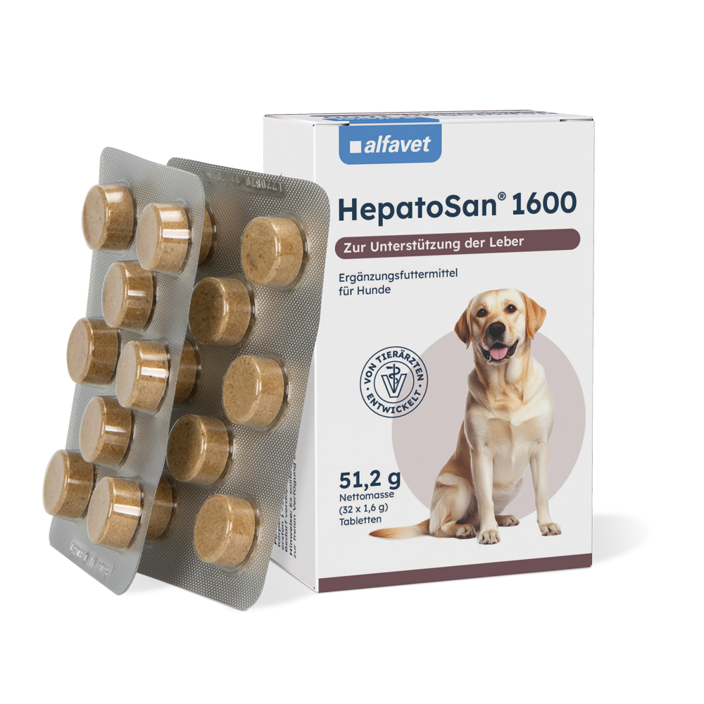 alfavet HepatoSan 1600 51,2 g, 32 Tabletten à 1,6 g, Karton und zwei Blister mit Tabletten in schräger Vorderansicht