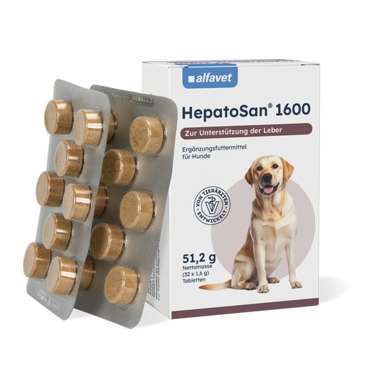 alfavet HepatoSan 1600 51,2 g, 32 Tabletten à 1,6 g, Karton und zwei Blister mit Tabletten in schräger Vorderansicht