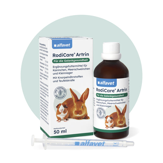 alfavet RodiCare Artrin 50 ml, Karton, Flasche und Dosierspritze in Voderansicht
