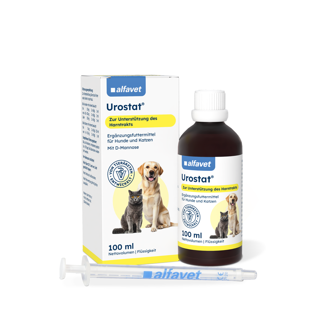 lfavet Urostat 100 ml, Karton, Flasche und Dosierspritze in schräger Vorderansicht