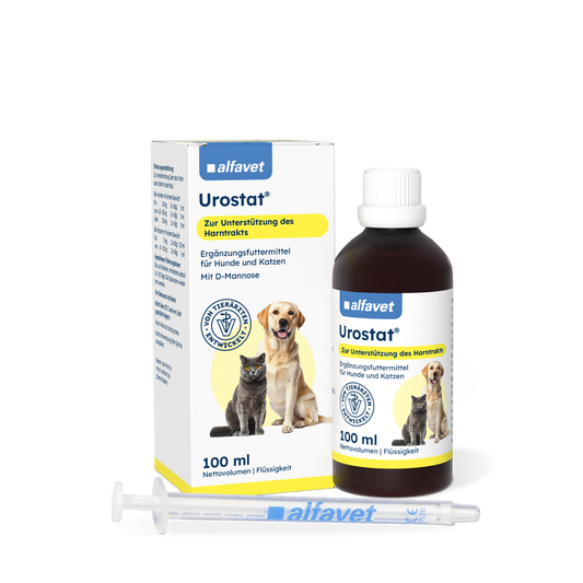 lfavet Urostat 100 ml, Karton, Flasche und Dosierspritze in schräger Vorderansicht