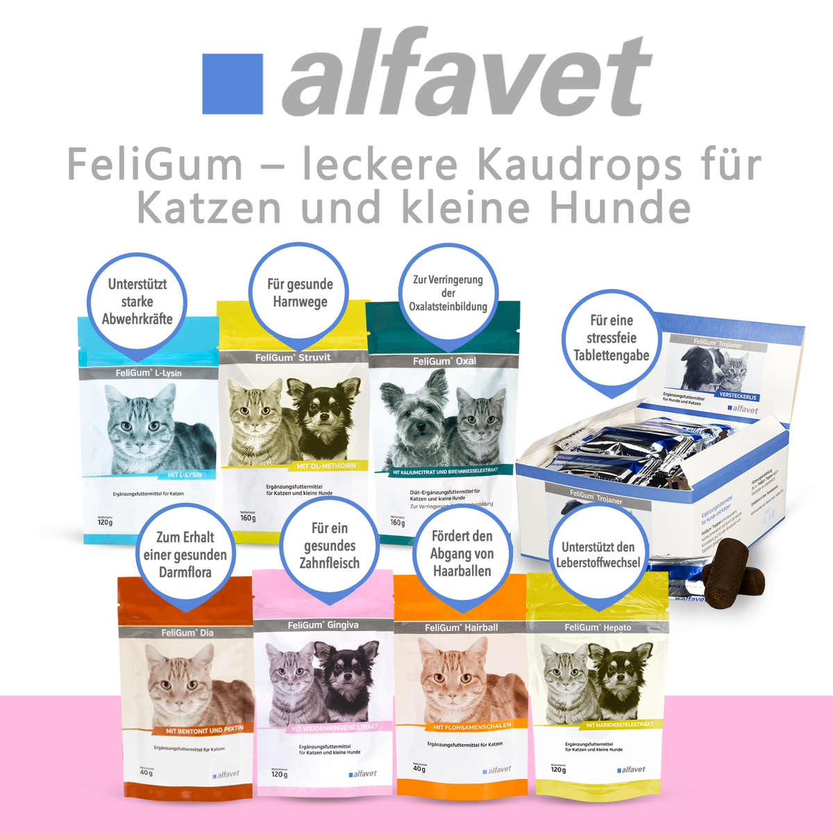 alfavet FeliGum, Sortimentsübersicht verschiedener FeliGum-Produkte mit Hinweisen zu den jeweiligen Anwendungsbereichen