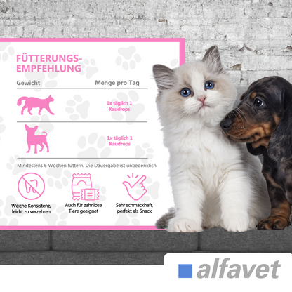 alfavet FeliGum Gingiva, Infografik mit Hund und Katze zur Fütterungsempfehlung für kleine Hunde und Katzen: 1 Kaudrop täglich, mindestens 6 Wochen, mit Anwendungshinweisen