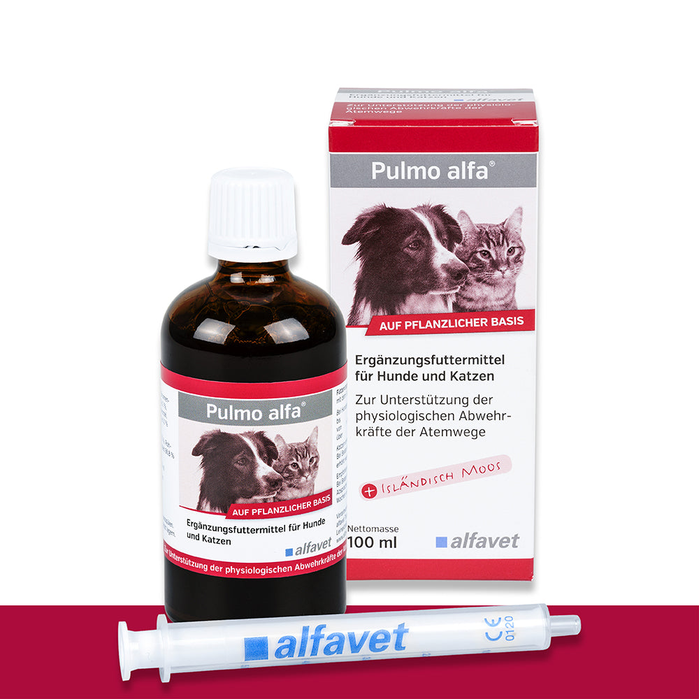 alfavet Pulmo alfa 100 ml, Karton, Flasche und Dosierspritze in Vorderansicht