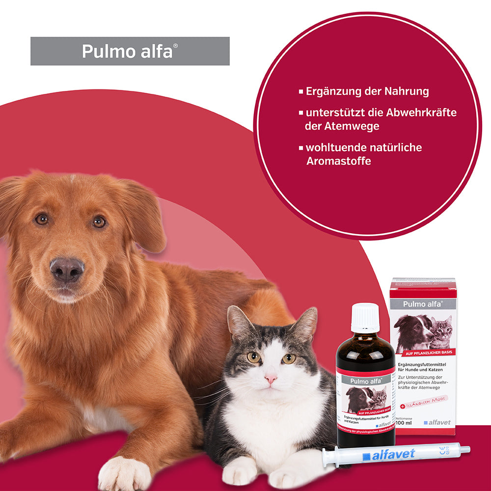 alfavet Pulmo alfa 100 ml, Informationsgrafik mit Hund und Katze, Karton, Flasche und Dosierspritze sowie Hinweisen zu Nahrungsergänzung und Atemwegen