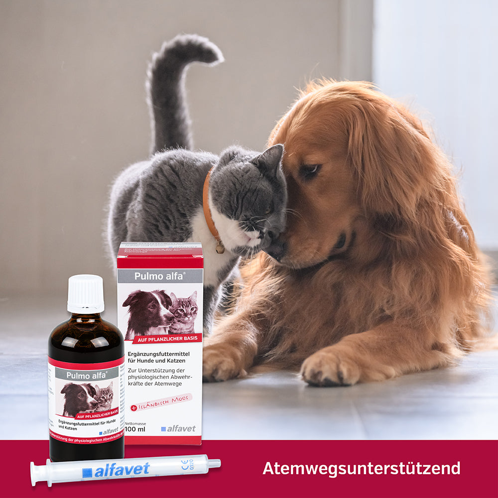 alfavet Pulmo alfa 100 ml, Hund und Katze mit Karton, Flasche und Dosierspritze, Hinweis „Atemwegsunterstützend“