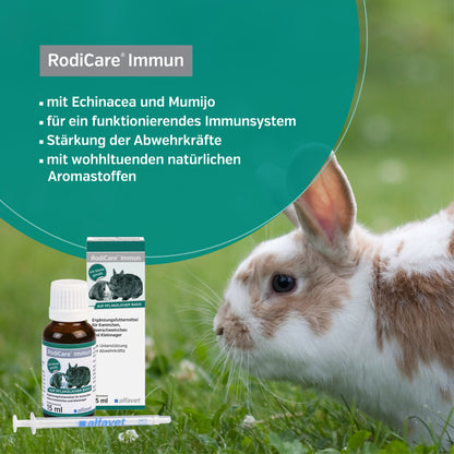 alfavet RodiCare Immun 15 ml, Infografik mit Kaninchen, Karton, Flasche und Dosierspritze sowie Hinweisen zu Inhaltsstoffen, Immunsystem, Abwehrkräfte und natürlichen Aromastoffe