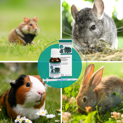 alfavet RodiCare Immun 15 ml, Collage mit Hamster, Chinchilla, Meerschweinchen und Kaninchen sowie Karton, Flasche und Dosierspritze