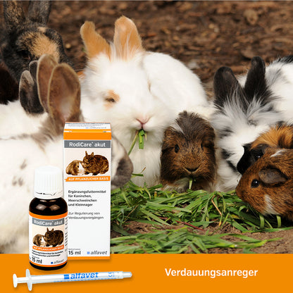 alfavet RodiCare akut 15 ml, Kaninchen und Meerschweinchen mit Karton, Flasche und Dosierspritze, Hinweis "Verdauungsanreger"