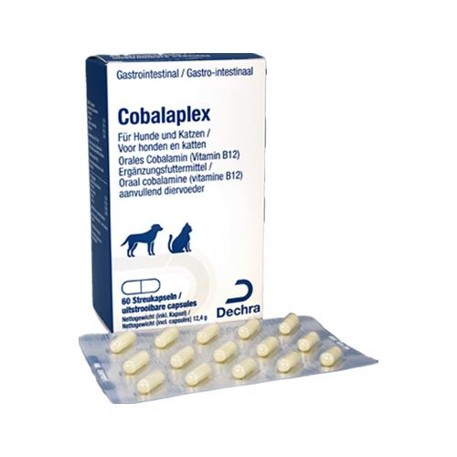 Dechra Cobalaplex 60 Kapseln, Karton und Blister mit Kapseln in Vorderansicht